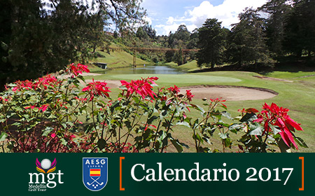 Imagen de 